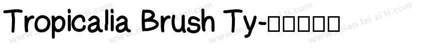 Tropicalia Brush Ty字体转换
